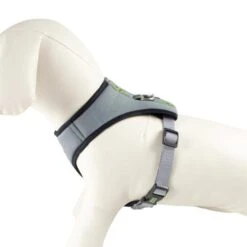 Arnés Para Perros Mandalorian XXS-XS -Infantiles Periféricos Tienda medias 889