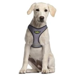 Arnés Para Perros Mandalorian XXS-XS -Infantiles Periféricos Tienda medias 891