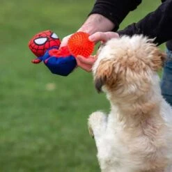 Disney - Pelota Y Peluche Para Perros Tipo Spiderman 16 Disney - Pelota Y Peluche Para Perros Tipo Spiderman -Infantiles Periféricos Tienda medias 958