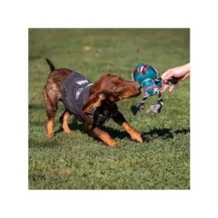 Disney - Star Wars - Cuerda Dental Boba Fett Para Perros: Juguete Y Cuidado Dental Star Wars -Infantiles Periféricos Tienda medias 975